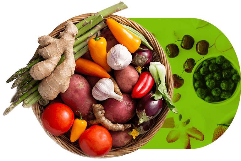 call feel free padma homeopathy clinic pimpri