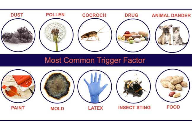 Homeopathy Allergy Treatment in Pimpri - Padma Clinic