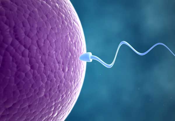 Homeopathy Infertility Treatment in Pimpri – Male & Female Fertility Care